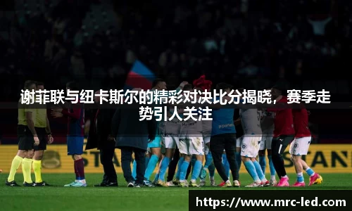 谢菲联与纽卡斯尔的精彩对决比分揭晓，赛季走势引人关注